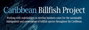 IGFA partners in the FAO Caribbean Billfish Project